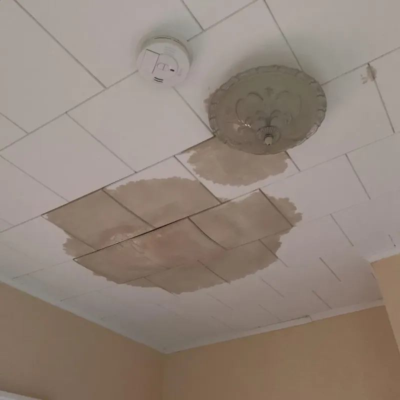 Ceiling Water Damage Repair in Ottawa County, KS