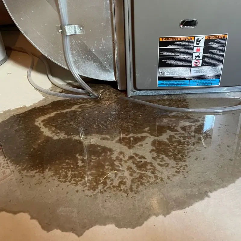 Pipe Burst and Leak Restoration in Ottawa County, KS