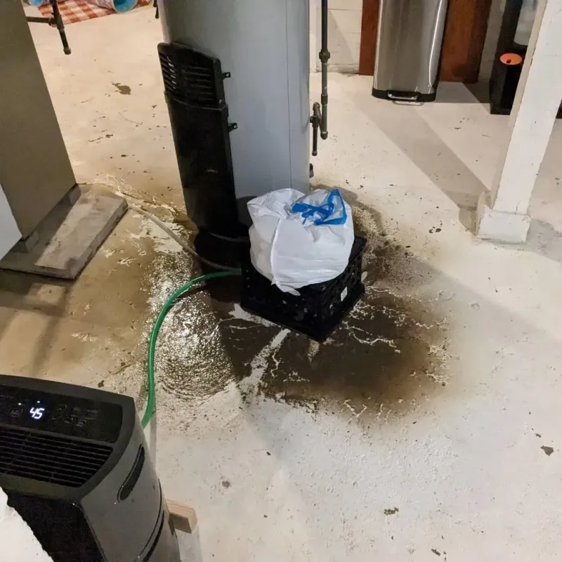 Sewage Backup Cleanup Service in Ottawa County, KS